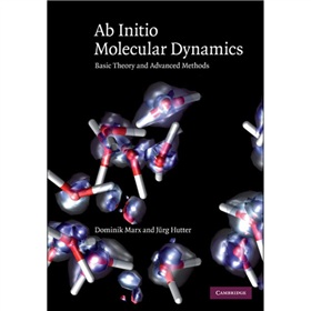 Ab Initio Molecular Dynamics [精裝] (從頭算分子動力學研究)