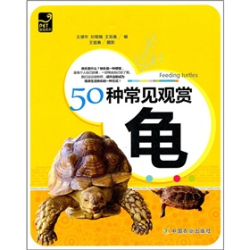 50種常見觀賞龜