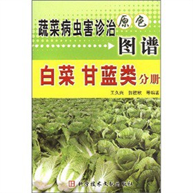 蔬菜病蟲害診治原色圖譜：白菜 甘藍類分冊