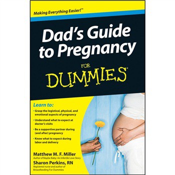Dad s Guide to Pregnancy For Dummies [平裝] (懷孕指導)
