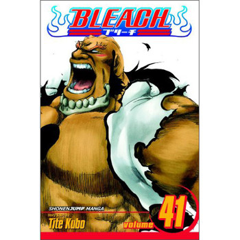 Bleach, Vol. 41 [平裝]
