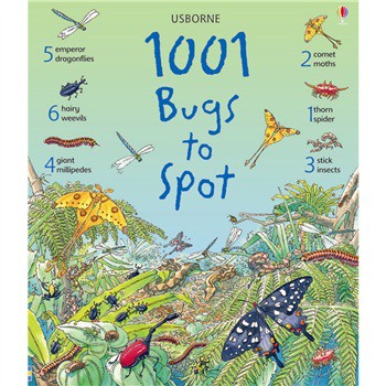 1001 Bugs to Spot (Padded Hardback) [平裝]