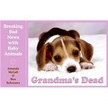 Grandma's Dead (illustrated edition)