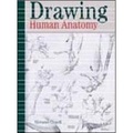 Drawing Human Anatomy