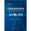 中國能源效率研究