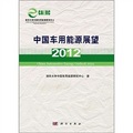 中國車用能源展望2012